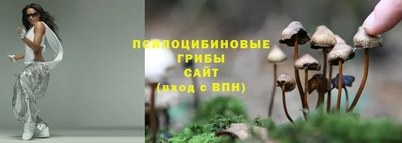 купить наркотики сайты  Нягань  Галлюциногенные грибы Psilocybe 